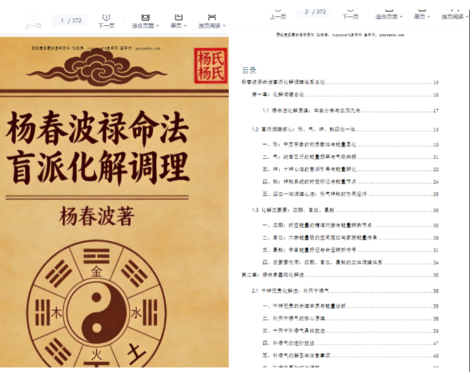 260698 《杨春波禄命法盲派八字化解调理》372页插图 260698 《杨春波禄命法盲派八字化解调理》372页插图