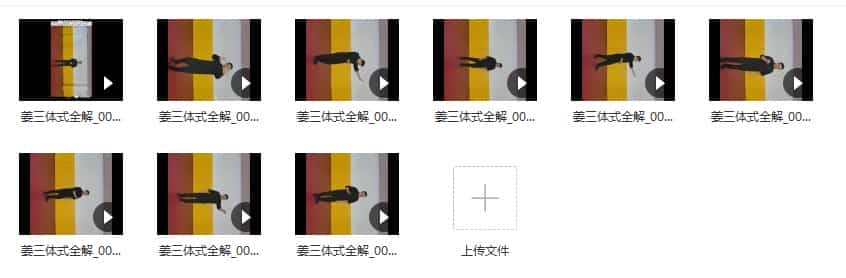 姜书洋-三体式全解2200等15视频合集插图