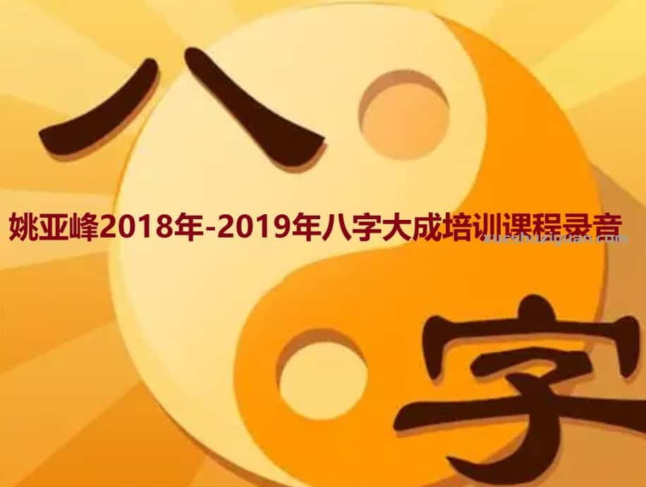 姚亚峰2018年-2019年八字大成培训课程录音375插图