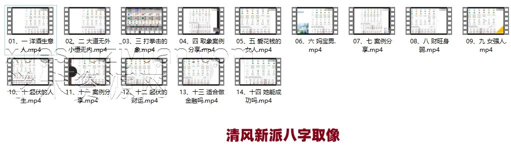 清风新派八字《八字取象法》14集插图