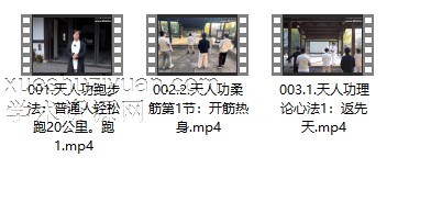 2403272 雷小翼 天人功法(上):返先天【开悟视角:千年之最养生功,可传后世千年】插图 2403272 雷小翼 天人功法(上):返先天【开悟视角:千年之最养生功,可传后世千年】插图