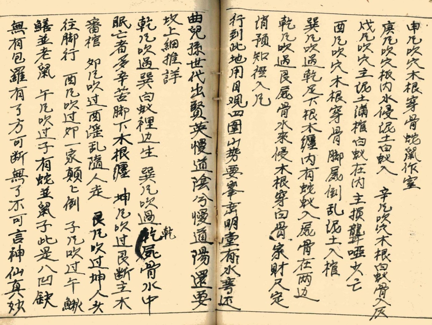 20241215051822插图 20241215051822插图